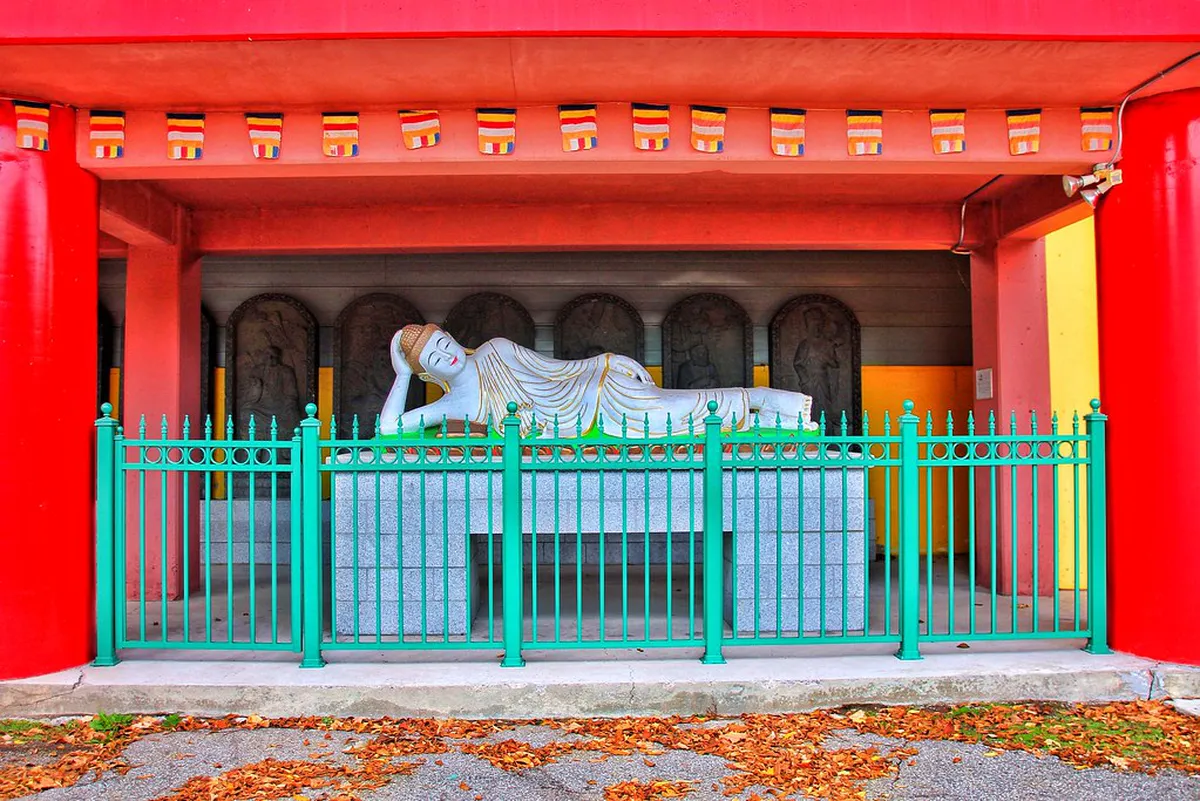 Free Walking Tour in Chongqing City: 2026 Guide & Itineraries